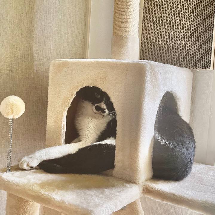 153eea8c 7fff 4b11 a8e5 694760905b19 1655722938423