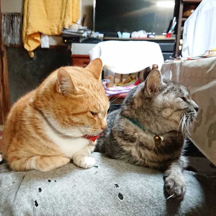 153eee24 8ac1 4fbf 83ea 0dd7dce84c57 1575838073135