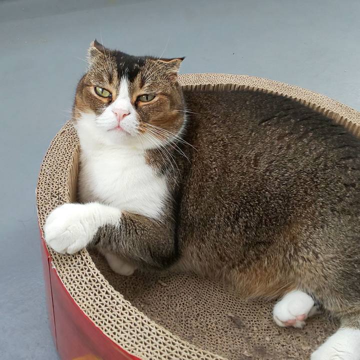 153f194a 5b09 4def ab67 50eccba63b88 1562277851802