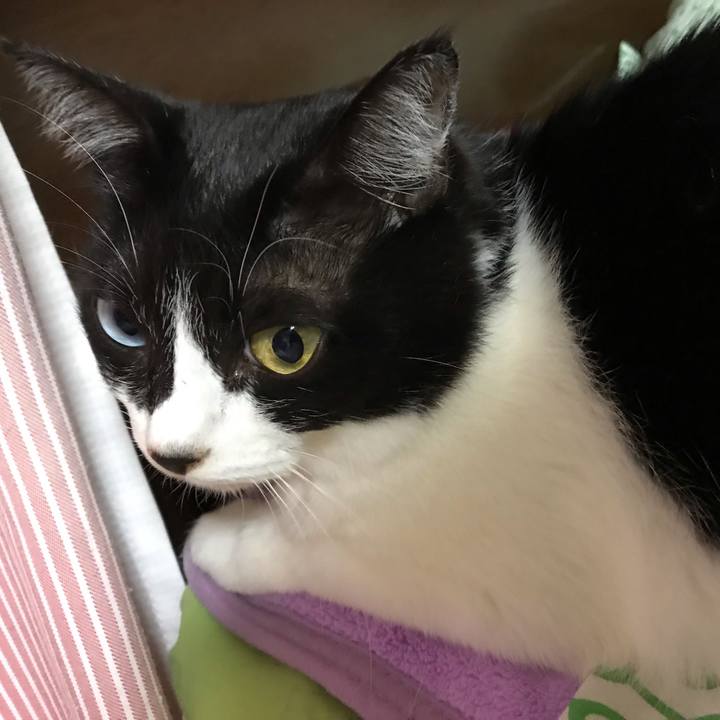 153f313c e741 4bbe 8d7d 17a653d97792 1540558375900