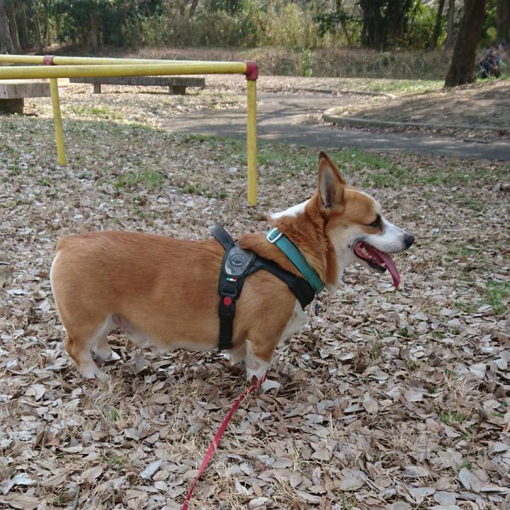 153f4718 14b0 47e0 bbd2 90f20fc2e1d8 1646980323137