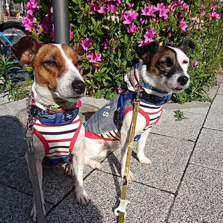 153f4d76 f951 4275 9227 7e726b469d5f 1587595177874