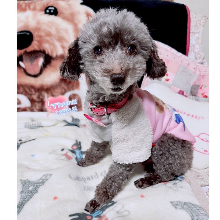 153f8a63 fbd1 47d6 9528 d42dada25a07 1704008304123