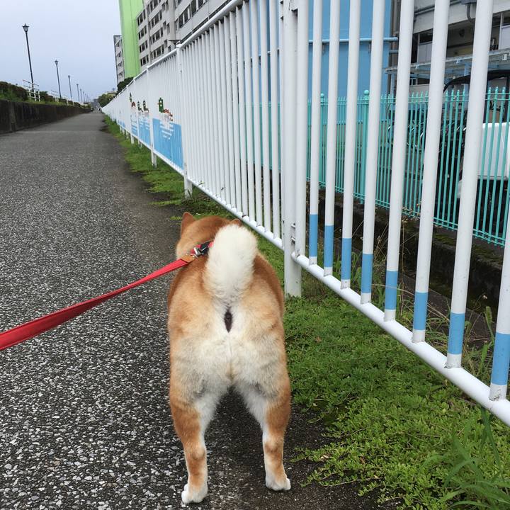 153f9c49 913a 4af8 a294 9d5c7fcc0a69 1595312703729