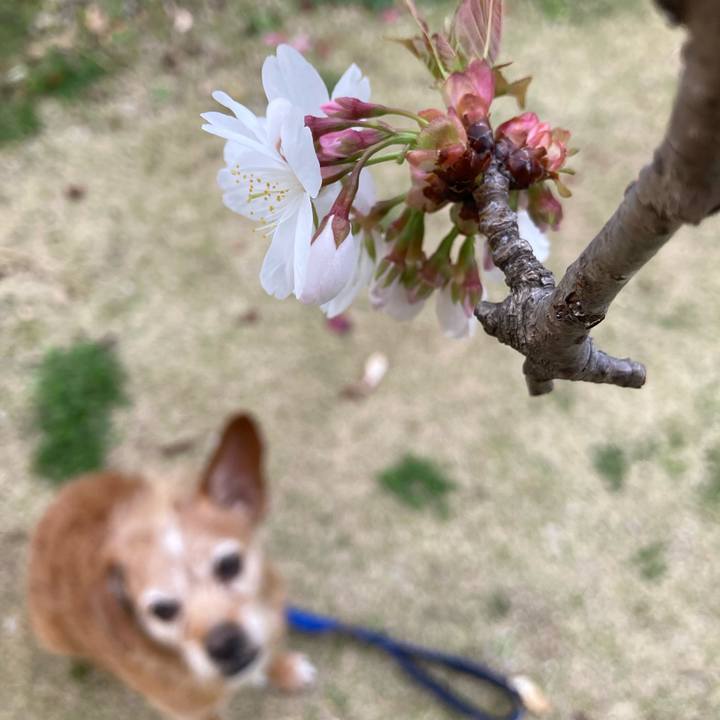 153fdfda 3b13 43de 8902 d06aa22f6441 1712057261564