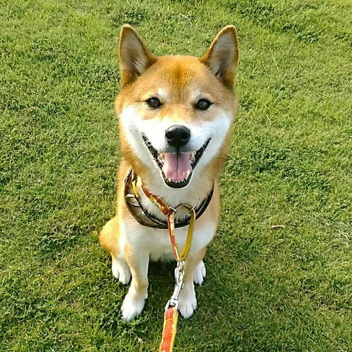 15401eea a80e 4779 b5e6 ae86ed4b4e00 1566633664186