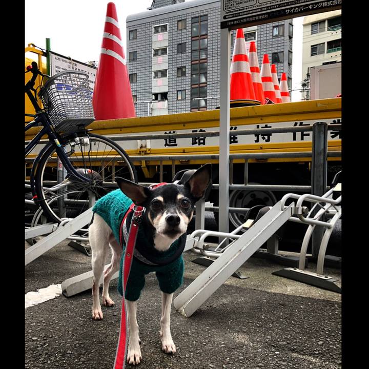 15405c03 4966 4e39 a1c3 44e52a69921a 1552782823307