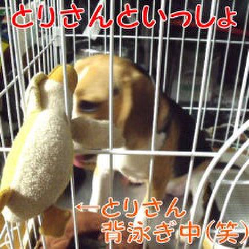 15406d2c 3168 4725 9e72 22fb35e3cd5a 1689112125331