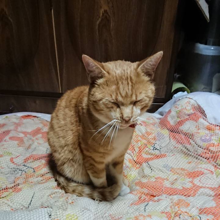 1540a8f4 1267 46a2 8a45 ac4517139298 1572696636648