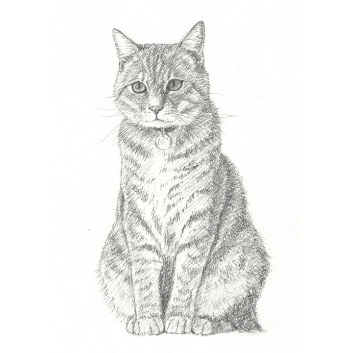 1540b249 c3ab 47e5 9225 b60e32337bf1 1546956450483