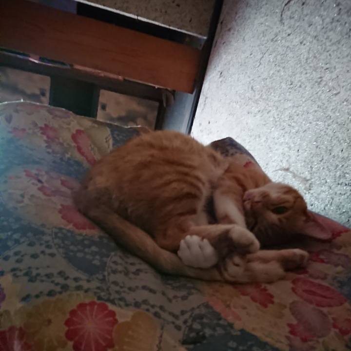 1540caa2 8a2f 424d 8085 67fda479e962 1595569310125