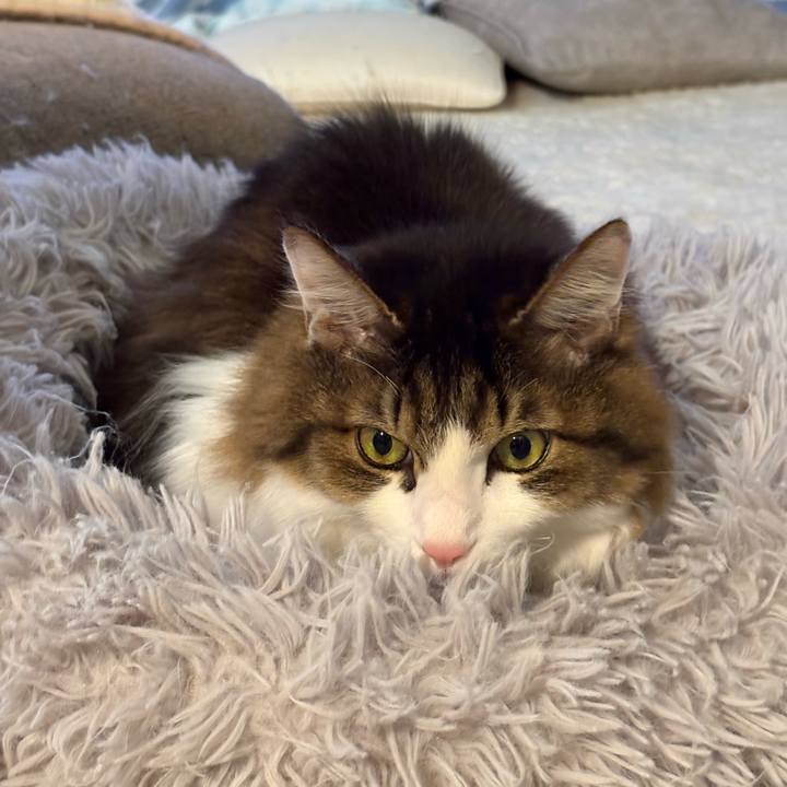 1540cd26 9e46 4543 acce be3a875e8b31 1769134351650