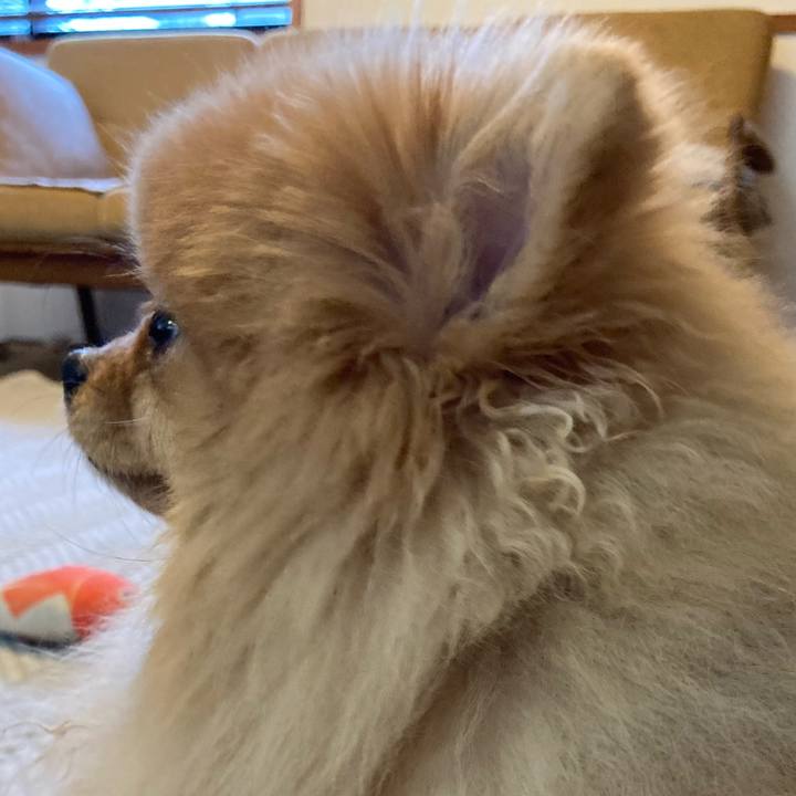 1540d6af c181 42ec be91 7200b1078352 1771128197427