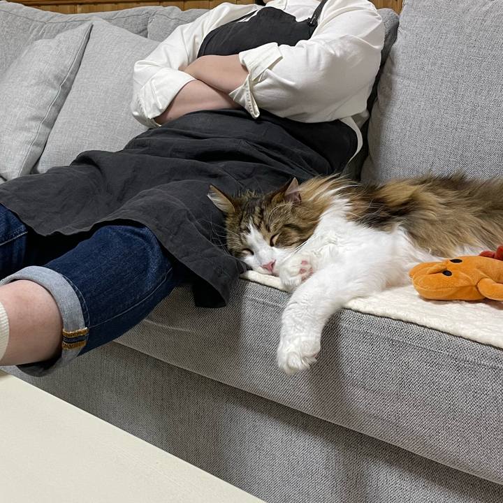 1540df9b 5070 4a9f 8f55 47a9f58f4f96 1673608818681