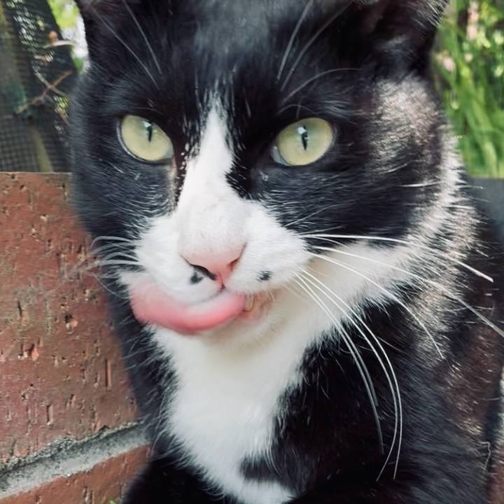 15411e5d 29ca 4ef9 981a d5e10bab09d5 1744776793610