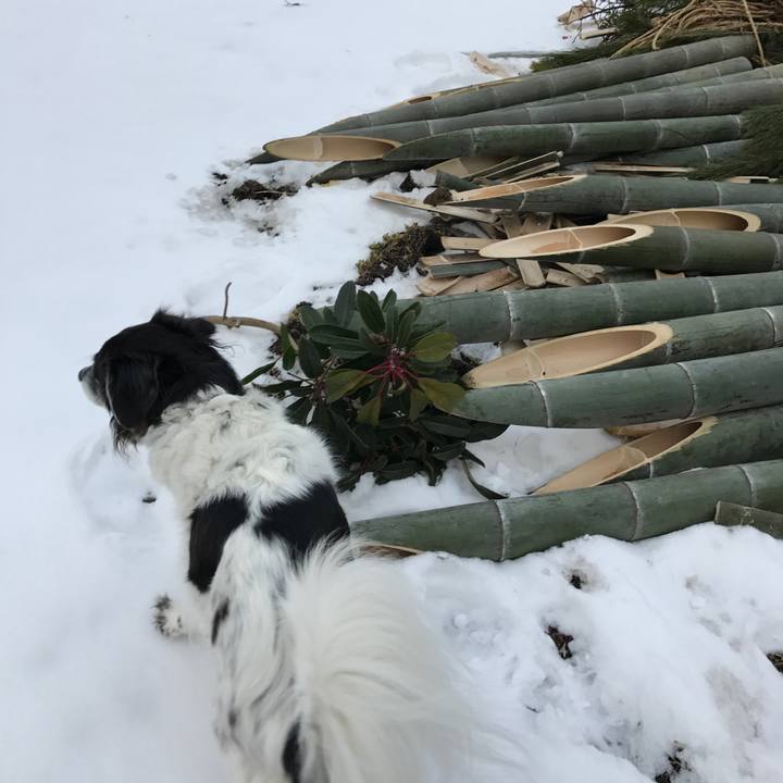 15418253 a774 45bb bc7a e3d8640d481e 1516013371702