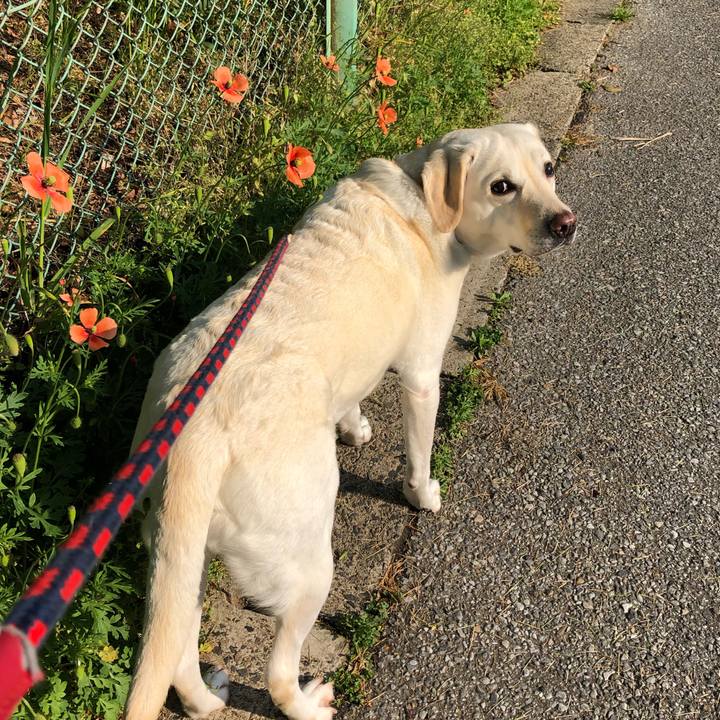 15418981 d268 4cf6 bf7f 9d7d3b2864c8 1588130760532