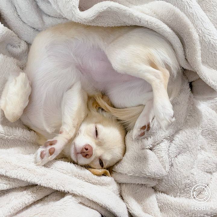 15418ae2 7271 40e2 8db6 4280008c32c0 1603503105655