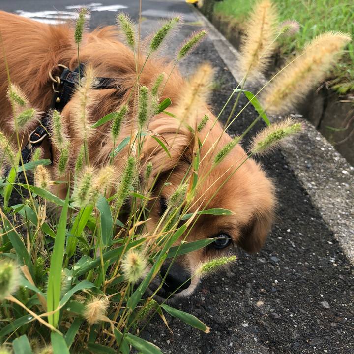 1541ac55 fbb8 4102 a573 a24a3a600f18 1535840597349