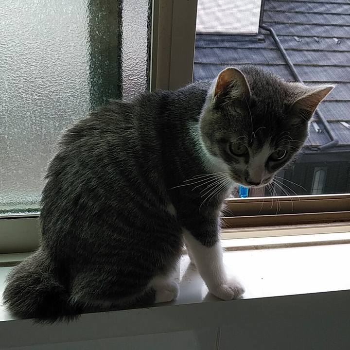 1541bc5a ae89 48d1 aac1 1073197534f2 1566713838663