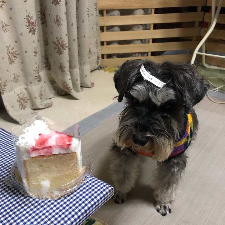 154246bb 2915 4449 83a2 051163a92c27 1615732487709