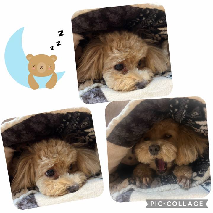 154263bf 494f 4bb7 a186 a61fbe1235be 1760346774795