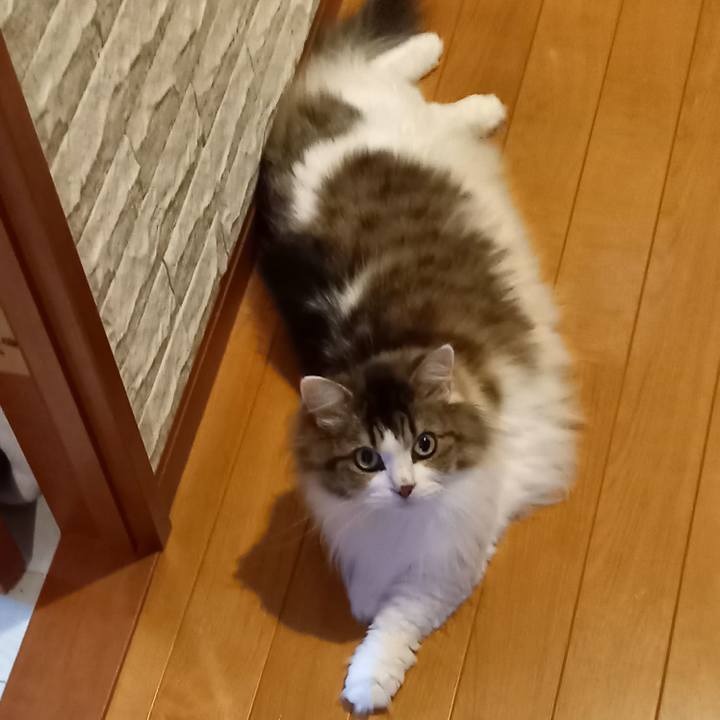 1542ab8c 6e73 46ec 90eb 8a4d55e15658 1625727218778