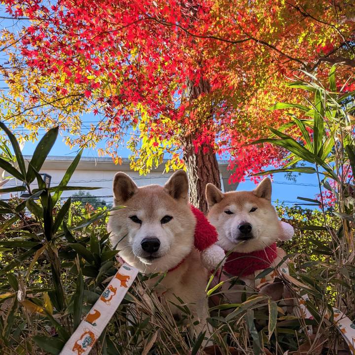 1542d111 e1ae 4ee8 b267 aa8c9fff94fd 1764903192096