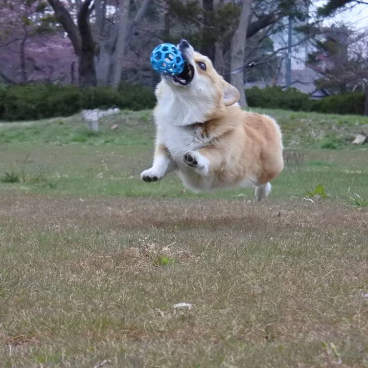 1542d17c c52e 4fcc 9999 d3fc6b1c0719 1523274279300