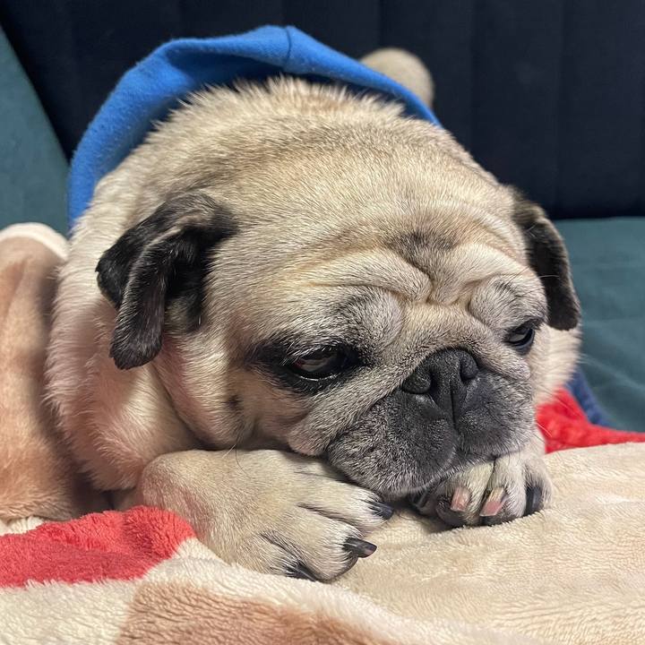 1542df46 4cf4 40ac b4db d889a1379c03 1772928942119