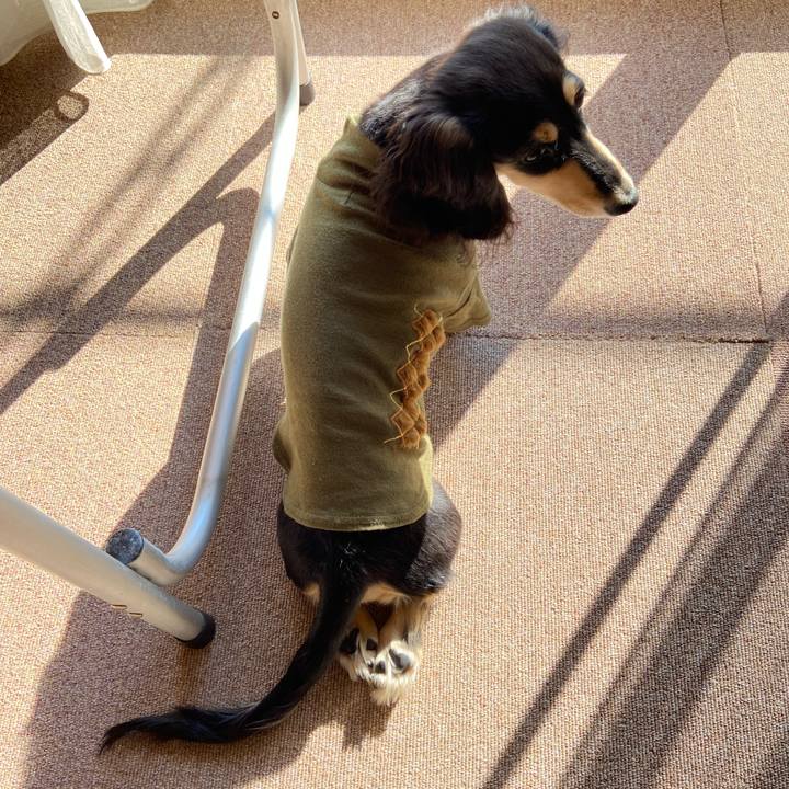 1543423c 3bf3 4407 af19 4f36d935dfac 1672375589917