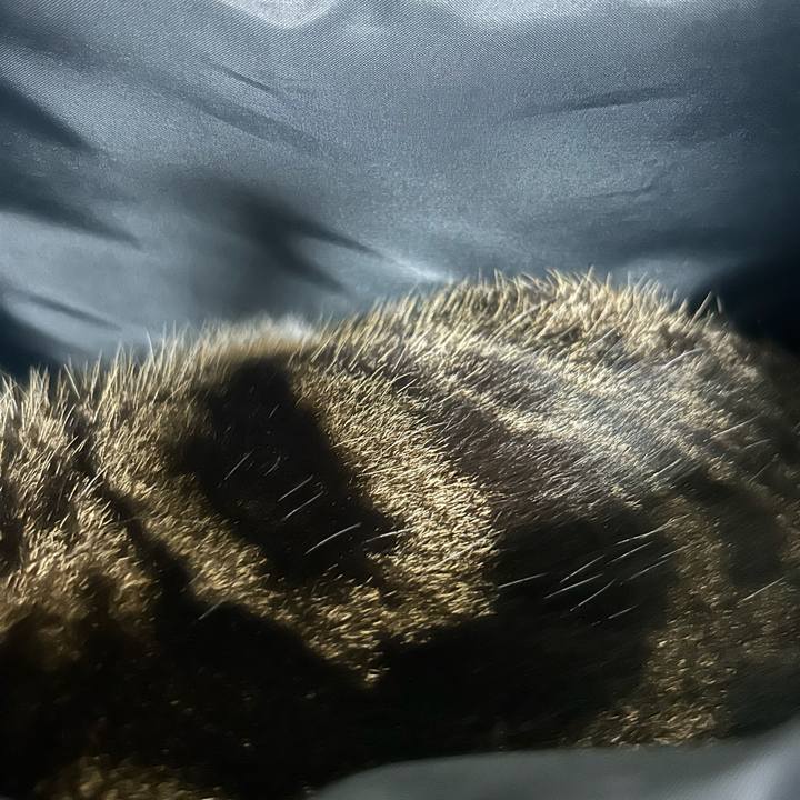 15435c37 4741 4b37 bef3 cfcae0007222 1768872513406