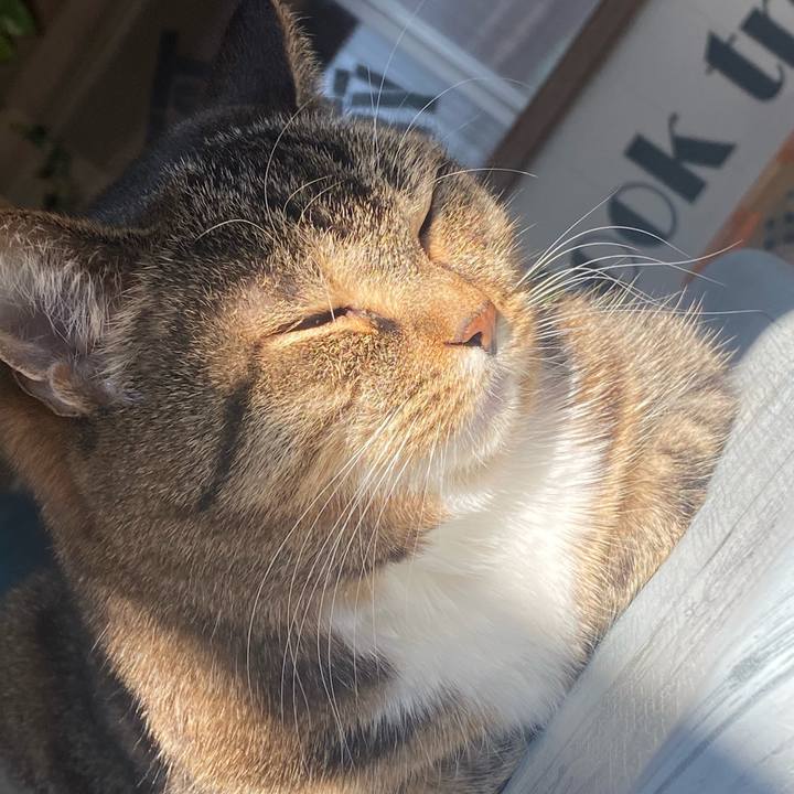 1543659f 1018 4e78 b640 9e292b965a28 1672623703302