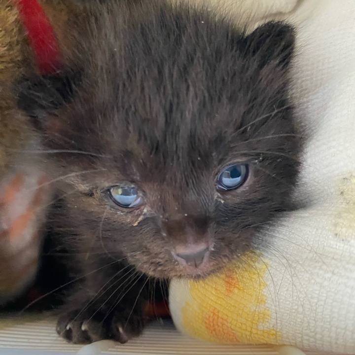 154366c2 fec9 49d5 95b0 8669f5f9488b 1713168257499