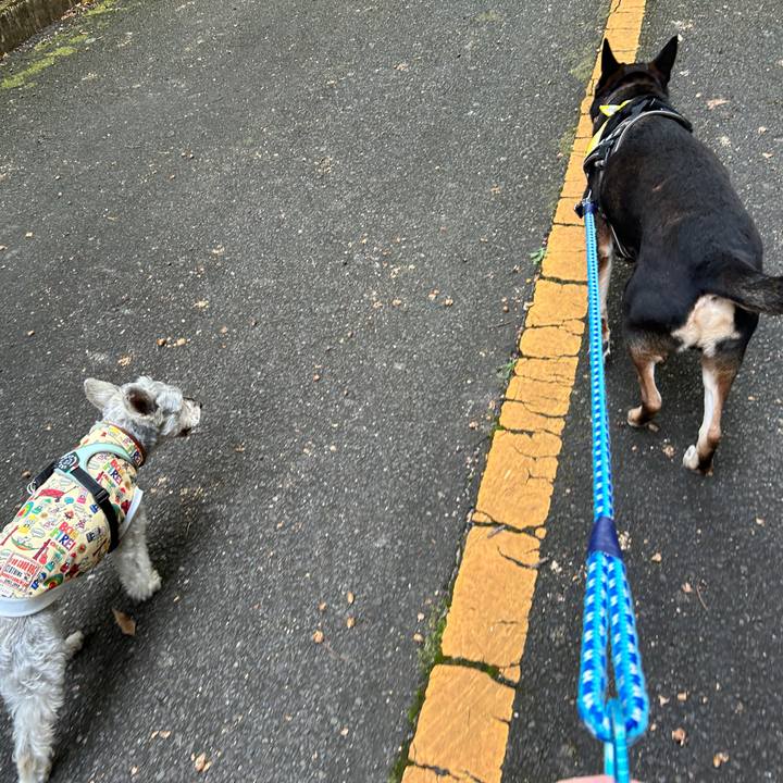 15437fa2 59ad 45fa 8121 efa00d90f3ed 1731422676380