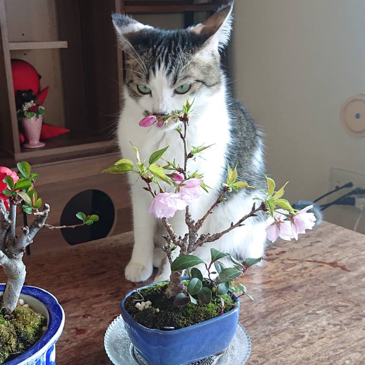 154383d0 372f 4b67 b7b1 80ab8b2a018b 1680309376315