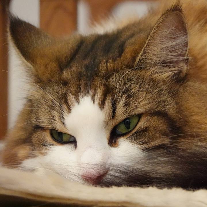 15439520 16f7 486d 8a8d 450e0a69b96d 1699354103707