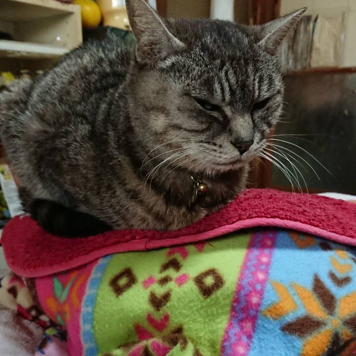 1543a5b2 035c 4f0e b3e2 ea1024469d73 1552686664435