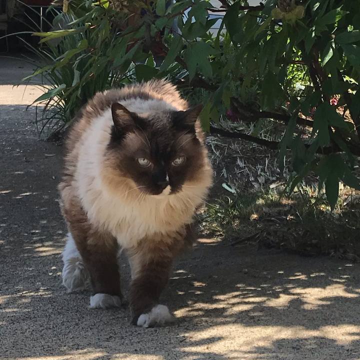 1543dc70 bf25 4b0c add7 d22a480dd6e9 1558785654806