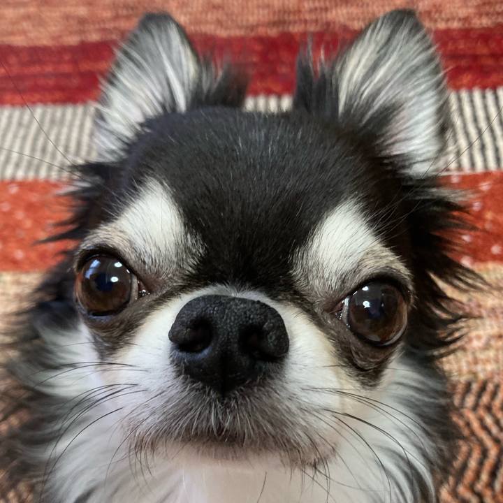 1543dc8d c252 44e4 a087 0d4805ba454a 1676761012365