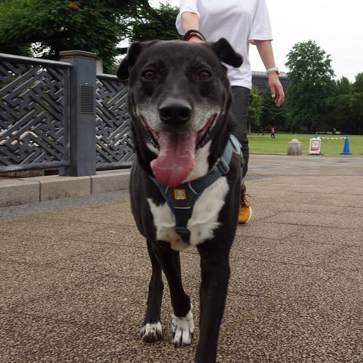 1543f153 a434 4989 8720 252241d69029 1717894807779