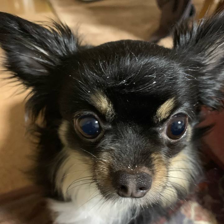 15441e97 5697 497d a648 264c4b7fc442 1584227653758