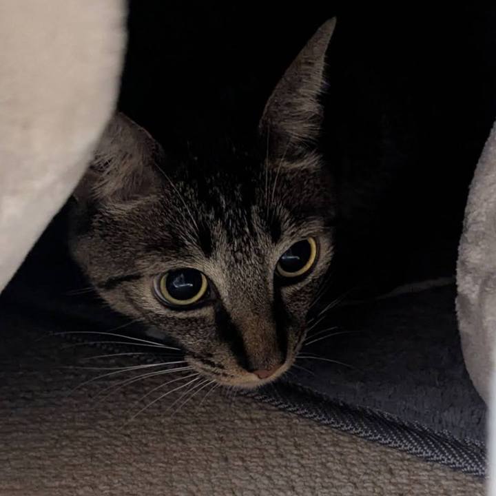 15446dc6 4147 47d8 b2ae 32eea3944adc 1765173478160