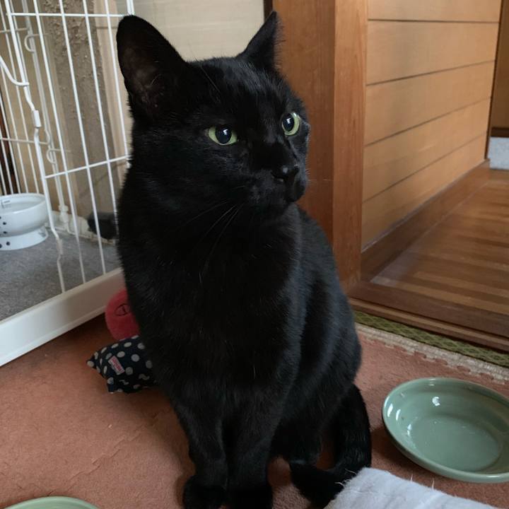 15447919 541c 4f16 92aa b34349d4dc05 1545954520157