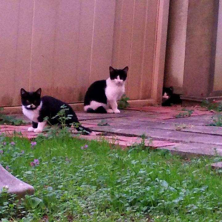 1544870d 28c1 4b02 bce5 fdb8732617c7 1542184149685