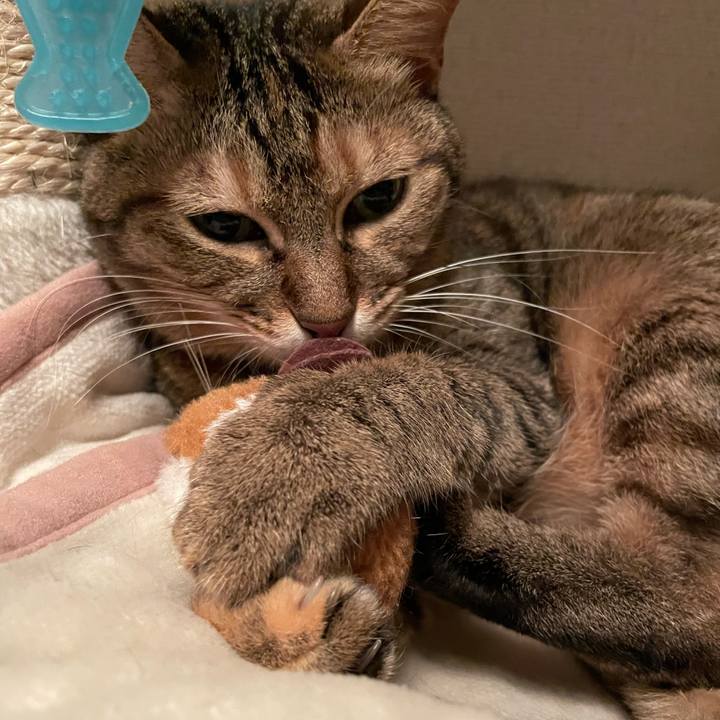 1544a5c5 c261 49c3 ac01 a6ca82e24695 1637806542438