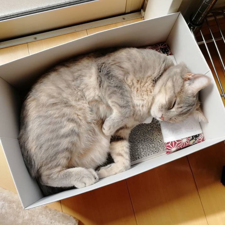 1544add8 e06f 4571 9f91 87ed5387178e 1530688202765