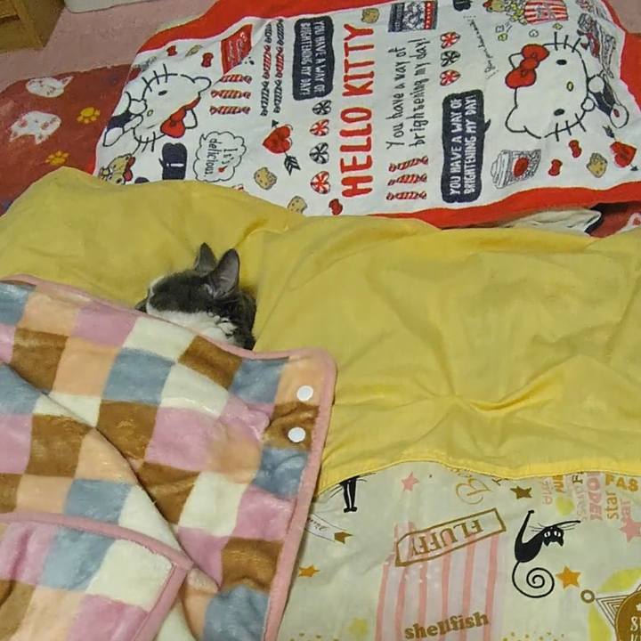 1544b046 0498 4166 8ba5 c526319400cb 1576311405716