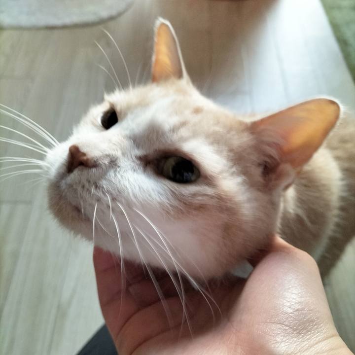 1544c6e1 6577 43aa 9df6 28e7838f1292 1676328091480