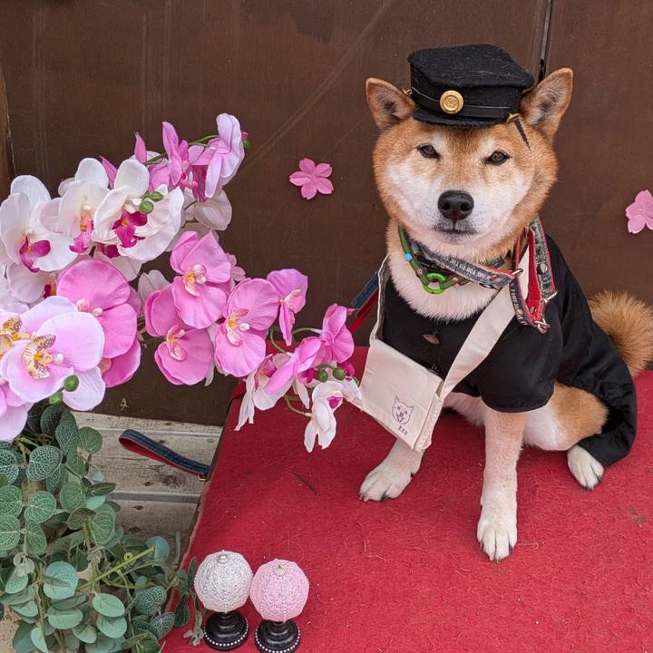 1544d3f5 88c1 4082 9f5d 1fcd5ee3fb6f 1741588614717